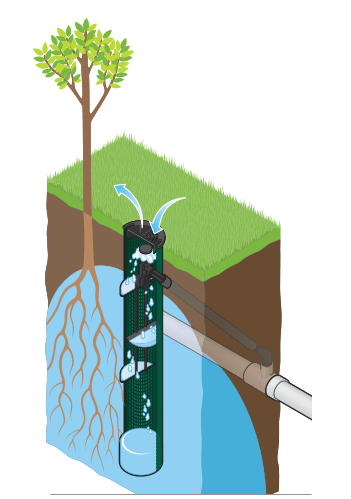 Root Zone Watering System - Pulled Nursery